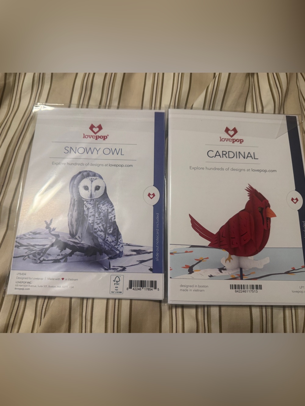 Love Snowy Owl & Cardinal 3D Pop-Up Card Set - White & Red
